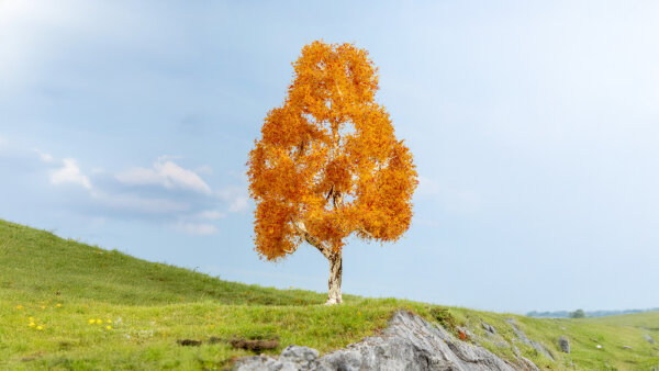 Noch 20129 - H0 - Birke, herbstlich