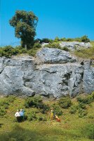 Faller 170831 - Dekorplatte Tunnelportal, Nat