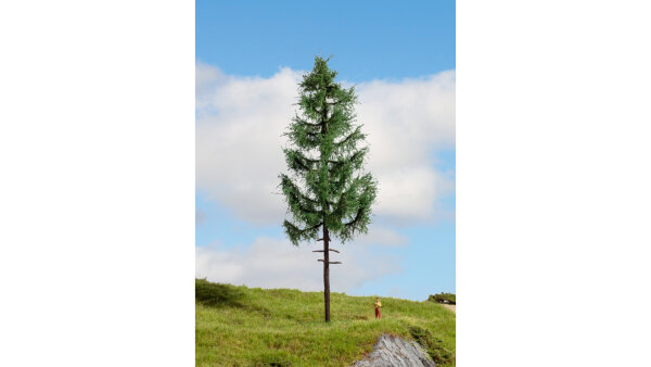 Noch 20197 - H0 - Hochstammfichte