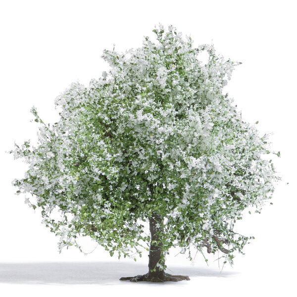 Busch 3651 - H0 - Apfelbaum 75, blühend H0