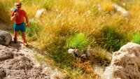 Noch 06910 - H0 - PROFI-Grasbüschel “trockenes Gras”