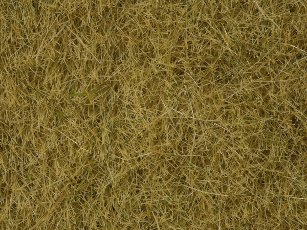 Noch 07091 - H0 - Wildgras