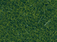 Noch 07120 - H0 - Wildgras