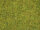 Noch 08151 - H0 - Streugras “Sommerwiese”