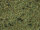 Noch 08157 - H0 - Streugras “Waldboden”
