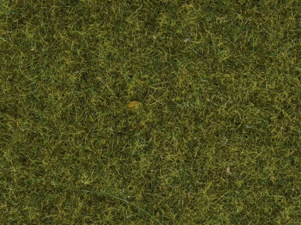 Noch 08212 - H0 - Streugras “Wiese”