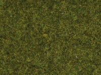 Noch 08312 - H0 - Streugras “Wiese”
