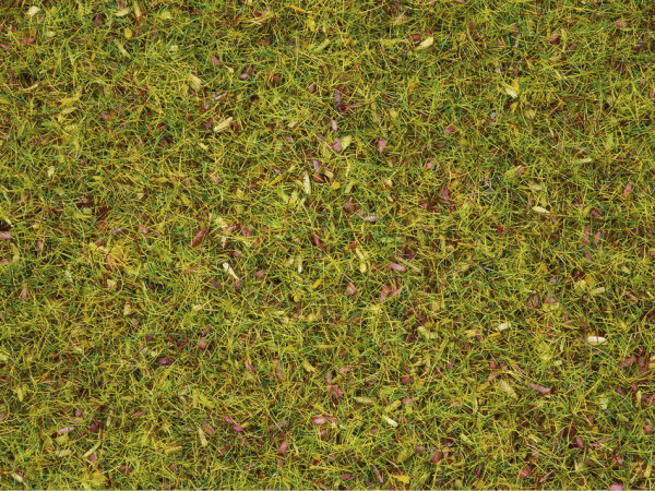 Noch 08330 - H0 - Streugras “Blumenwiese”