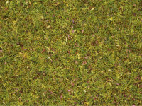 Noch 08330 - H0 - Streugras “Blumenwiese”
