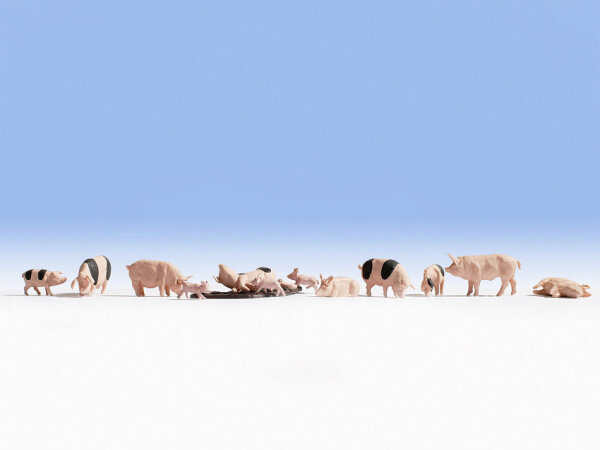 Noch 15712 - H0 - Schweine