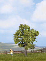 Noch 21550 - H0 - Obstbaum