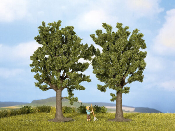 Noch 25170 - H0 - Buchen