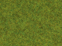 Noch 50210 - H0 - Streugras...