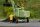Auhagen 43687 - TT - Lader T127